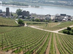 View of the wineries from the gondola
